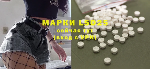 стаф Липки