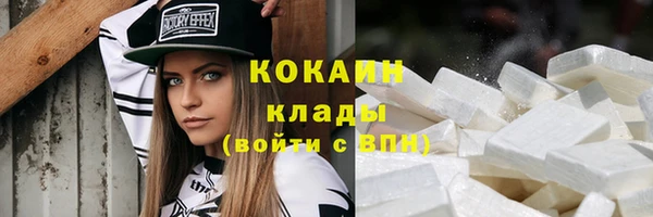 амф Вяземский