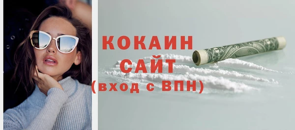 молекула духа Вязьма
