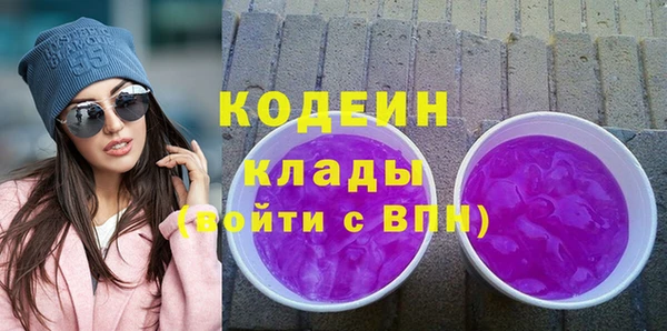 амф Вяземский