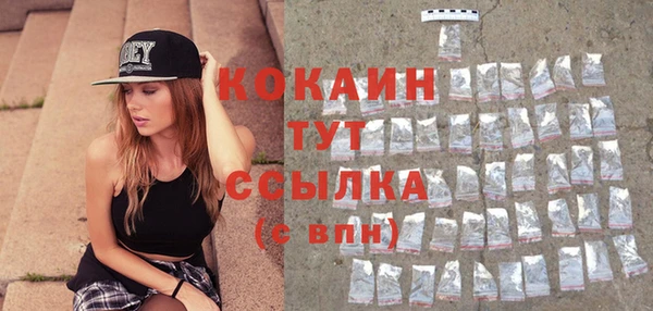 амф Вяземский