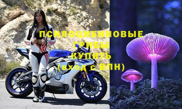 молекула духа Вязьма