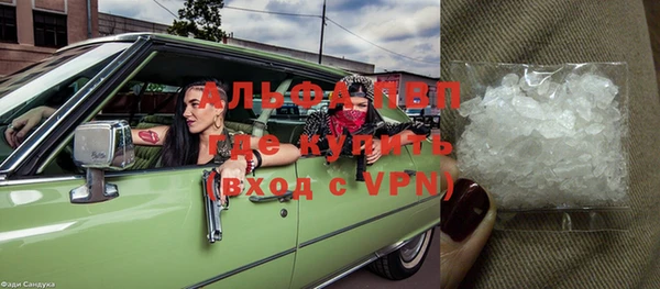амф Вяземский