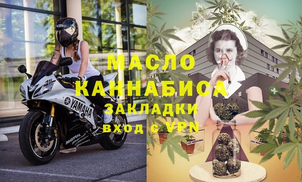 амф Вяземский
