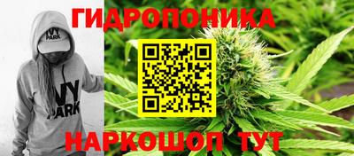 шишки Лесосибирск