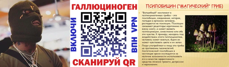 darknet какой сайт  Елец  Галлюциногенные грибы MAGIC MUSHROOMS  купить наркоту 
