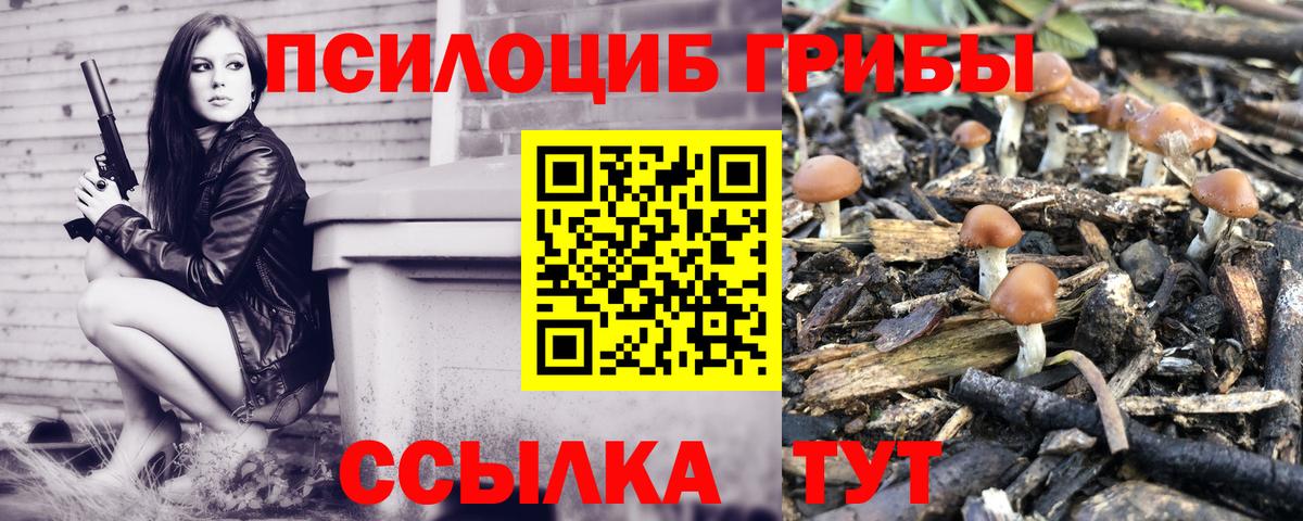 Галлюциногенные грибы GOLDEN TEACHER  Вход с VPN  Галлюциногенные грибы Psilocybe  Елец 